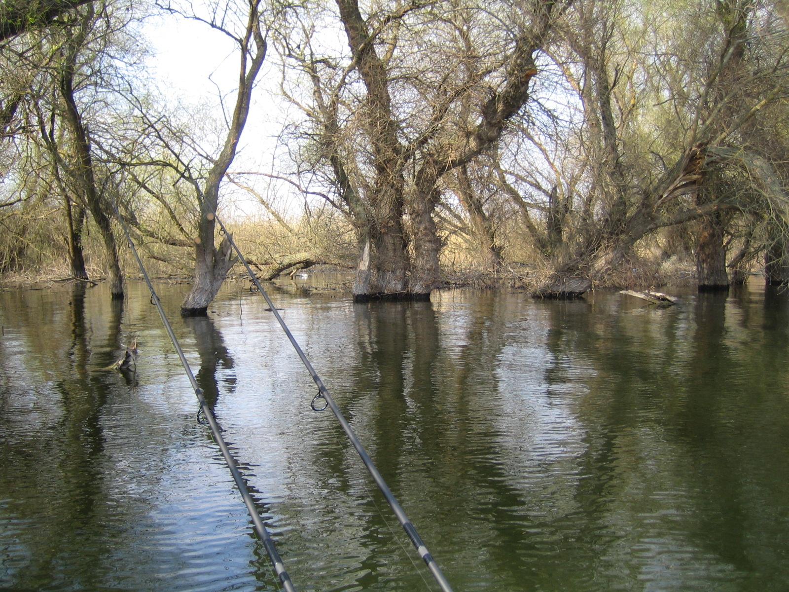 DELTA 2007-2012 - O AGATATURA FRUMOASA- O DATA-N VIATA!!!!